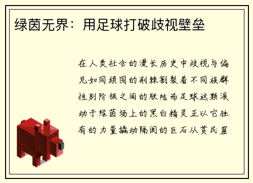 绿茵无界：用足球打破歧视壁垒
